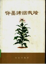 许昌烤烟栽培
