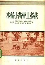 水稻小苗带土移栽