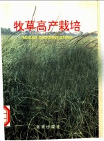 牧草高产栽培