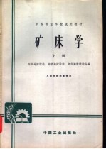 矿床学 上