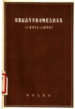 第四纪高等脊椎动物化石的采集