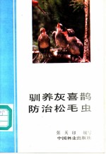 驯养灰喜鹊防治松毛虫