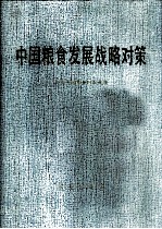 中国粮食发展战略对策