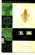 玉米