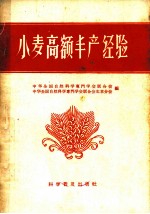 小麦高额生产经验