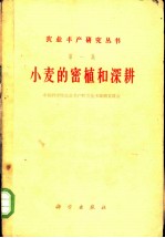小麦的密植和深耕