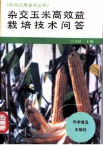 杂交玉米高效益栽培技术问答