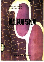 花生栽培与利用