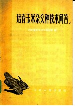 培育玉米杂交技术问答