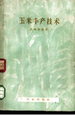 玉米丰产技术