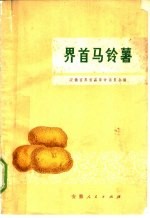 界首马铃薯