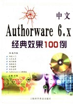 中文Authorware 6.x经典效果100例