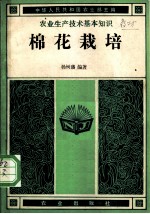 棉花栽培