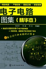 电子电路图集 精华本