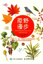 原野漫步 250种植物果实与红叶的手绘自然笔记