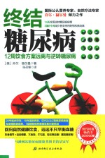 终结糖尿病 12周饮食方案远离与逆转糖尿病