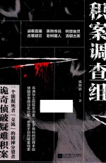 积案调查组