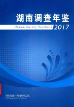 湖南调查年鉴