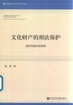文化财产的刑法保护 国际和国内的视角