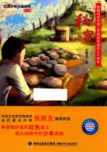 红色少年小说系列 秘密