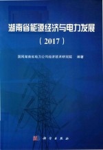 2017年湖南省能源经济与电力发展