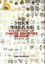 中国少数民族传统医药大系