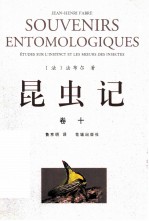 昆虫记 卷10