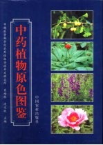 中药植物原色图鉴