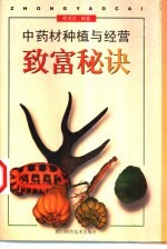中药材种植与经营致富秘诀