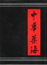 中华药海 下