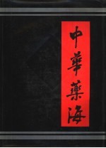 中华药海 上