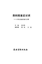 农村改革启示录 十年巨变的实践与思维
