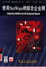 使用NetWare的综合企业网