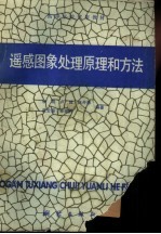 遥感图象处理原理和方法