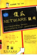 傻瓜NetWare联网