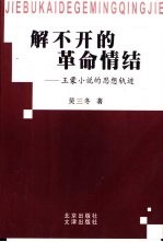 解不开的革命情结：王蒙小说的思想轨迹