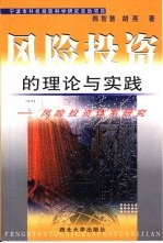 风险投资的理论与实践 风险投资体系研究