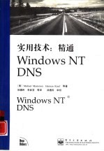 实用技术:精通Windows NT DNS