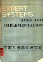 专家系统基础与实现