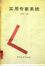 实用专家系统