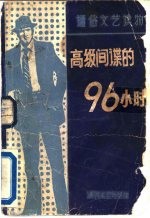 高级间谍的96小时