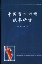 中国资本市场效率研究