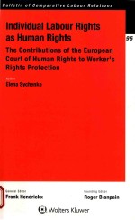 Individual labour rights as human rights