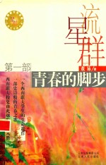 流星群 第1部 青春的脚步