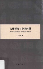 文化研究与中国问题