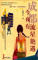成都，今夜有流星艳遇