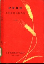 北京郊区 小麦优良品种介绍 一集