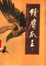 续鹰爪王 上