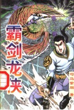霸剑龙侠 中