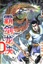 霸剑龙侠 下